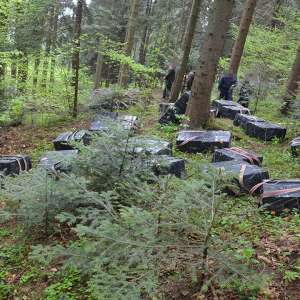 Peste 36.000 pachete cu țigări confiscate la frontiera de nord