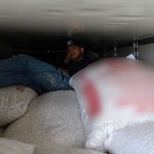 Cinci cetăţeni din Siria şi Irak, ascunși printre seminţe de floarea soarelui, depistaţi la P.T.F. Bechet