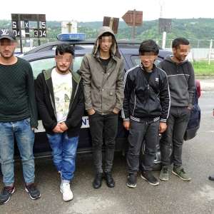 Cinci cetăţeni din Siria şi Irak, ascunși printre seminţe de floarea soarelui, depistaţi la P.T.F. Bechet