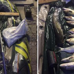 Activităţi de braconaj piscicol, combătute de polițiștii de frontieră