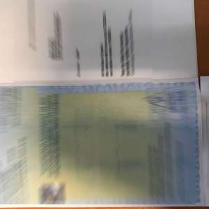 Documente false, descoperite la controlul de frontieră