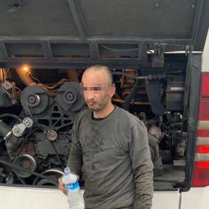 Sirian ascuns sub compartimentul motor al unui autocar, depistat la P.T.F. Giurgiu