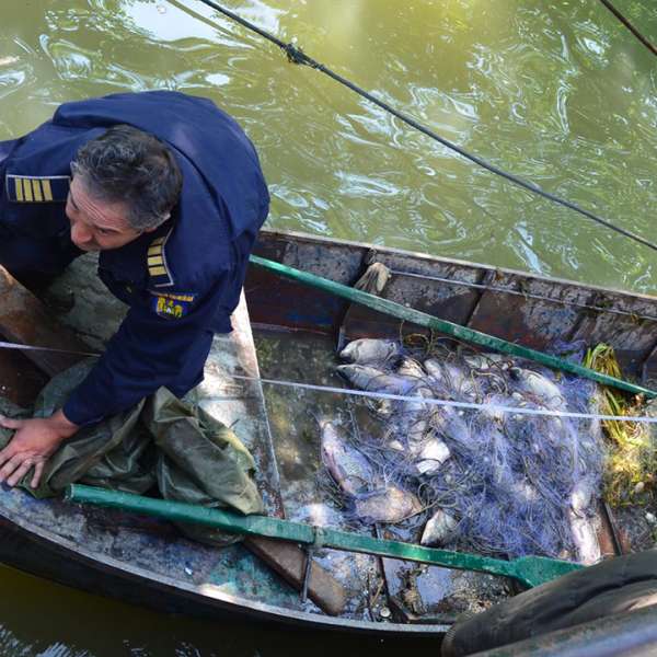 Doi pescari sârbi au depăşit șenalul navigabil al Dunării, pentru a pescui în apele teritoriale românești