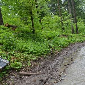 Aproximativ 57.500 pachete țigări în valoare de 672.000 lei,  confiscate la frontiera de nord a României