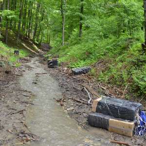 Aproximativ 57.500 pachete țigări în valoare de 672.000 lei,  confiscate la frontiera de nord a României