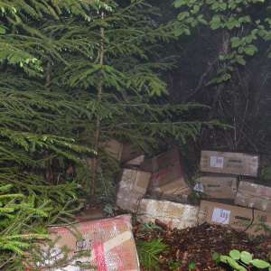 Aproximativ 57.500 pachete țigări în valoare de 672.000 lei,  confiscate la frontiera de nord a României