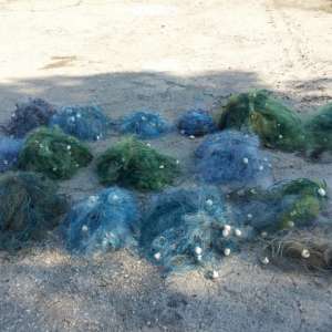 Peste 80 kg peşte şi plase monofilament, confiscate de poliţiştii de frontieră