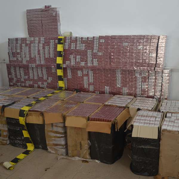 Percheziţii domiciliare la contrabandiştii de ţigări şi peste 50.000 de pachete descoperite la frontiera de nord