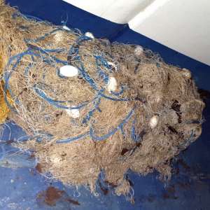 Activităţi de braconaj piscicol, combătute de polițiștii de frontieră