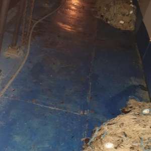 Activităţi de braconaj piscicol, combătute de polițiștii de frontieră