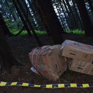 Peste 29.000 pachete țigări confiscate la frontiera de nord