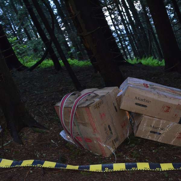 Peste 29.000 pachete țigări confiscate la frontiera de nord