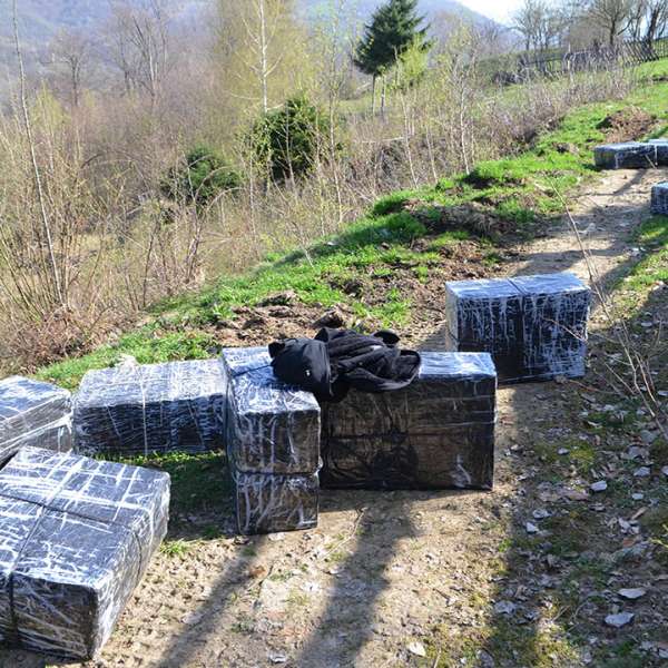 Peste 14.000 pachete țigări confiscate la frontiera de nord
