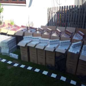 Aproximativ 20.000 de pachete cu țigări de contrabandă, descoperite de polițiștii de frontieră