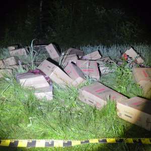 Un cetățean ucrainean cercetat pentru contrabandă  și 39.000 pachete cu țigări confiscate la frontiera de nord