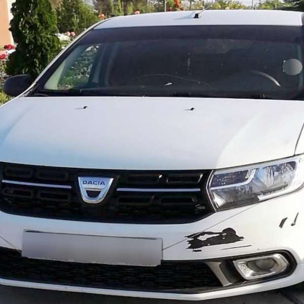 Logan căutat pentru confiscare, depistat la Stânca