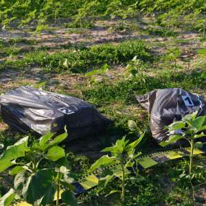 Ţigări de contrabandă transportate cu drona, abandonate în pădure