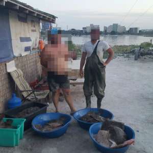 Peste 200 kg de calcan confiscate de poliţiştii de frontieră