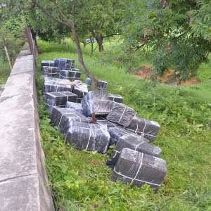 Peste 37.000 de pachete cu țigări confiscate la frontiera de nord a ţării