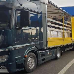 Optsprezece cetăţeni străini, ascunşi într-un automarfar, descoperiți la P.T.F. Nădlac II