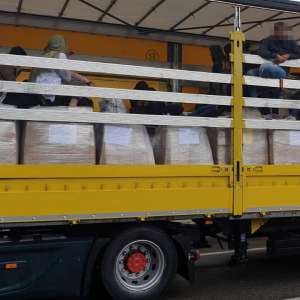 Optsprezece cetăţeni străini, ascunşi într-un automarfar, descoperiți la P.T.F. Nădlac II