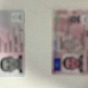 Documente cu însemnele autorităților poloneze, false descoperite la controlul de frontieră