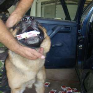 Peste 24.000 pachete cu țigări, confiscate la frontiera de nord