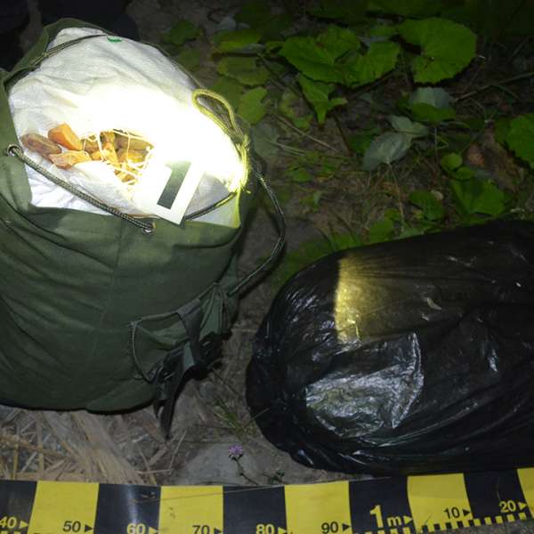 100 kg de chihlimbar, descoperite la graniţa cu Ucraina
