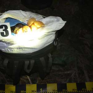 100 kg de chihlimbar, descoperite la graniţa cu Ucraina