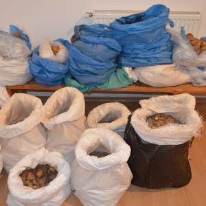 100 kg de chihlimbar, descoperite la graniţa cu Ucraina