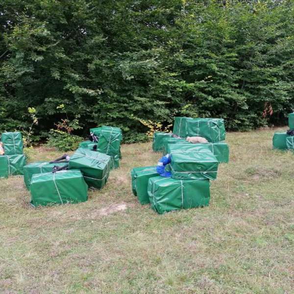Peste 20.000 pachete cu țigări de contrabandă, confiscate la frontiera de nord