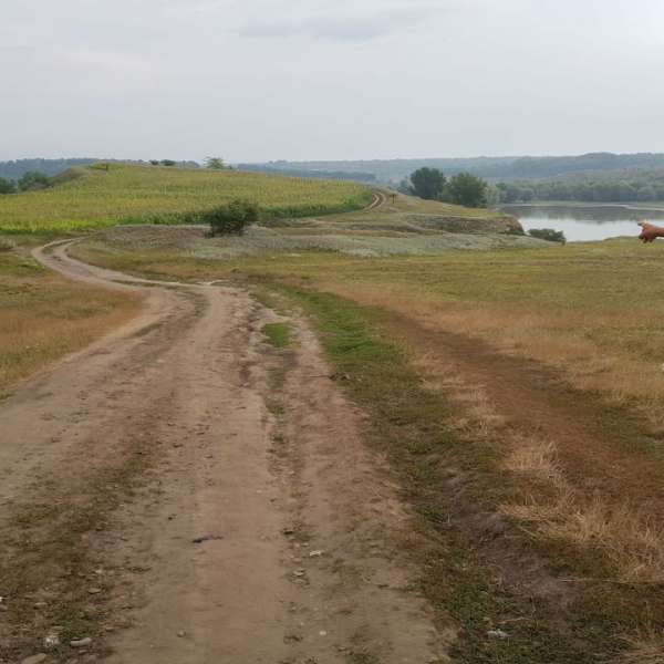 Moldovean ajuns ilegal în România, depistat de poliţiştii de frontieră botoşăneni la Rădăuţi - Prut
