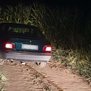 Ţigări de contrabandă descoperite de poliţiştii de frontieră ieşeni