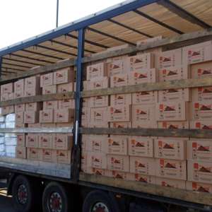 33.600 flacoane tip spray cu substanță insecticidă descoperite la P.T.F. Giurgiu