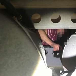 Sirian ascuns sub remorca unui automarfar, descoperit la P.T.F. Nădlac