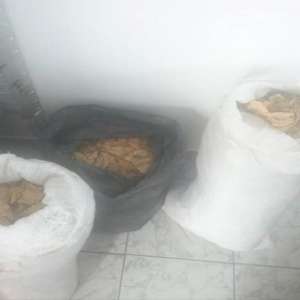 Ţigări de contrabandă şi tutun descoperite de polițiștii de frontieră