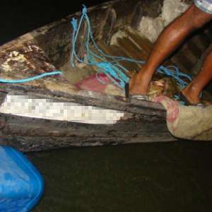 Plase pescăreşti în lungime de aproximativ 220 m, confiscate de poliţiştii de frontieră