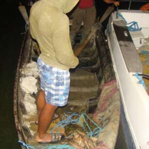 Plase pescăreşti în lungime de aproximativ 220 m, confiscate de poliţiştii de frontieră