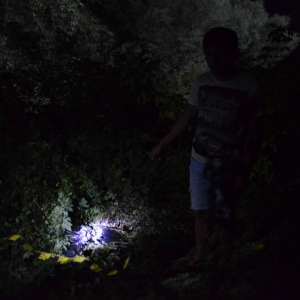 Țigări de contrabandă, confiscate la frontiera de est