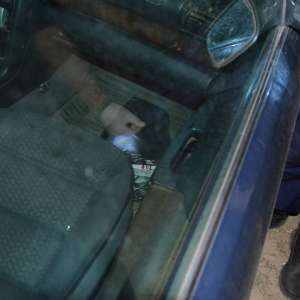 Țigări de contrabandă, confiscate la frontiera de est