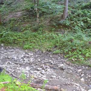 Ţigări în valoare de peste 47.000 lei confiscate la frontiera de nord