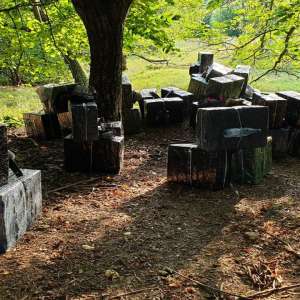 Peste 18.000 pachete cu țigări confiscate la frontiera cu Ucraina