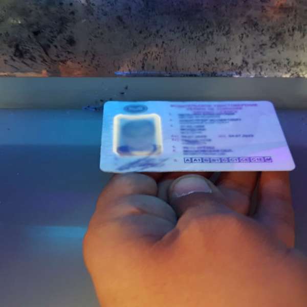 Permis de conducere fals, descoperit la controlul de frontieră