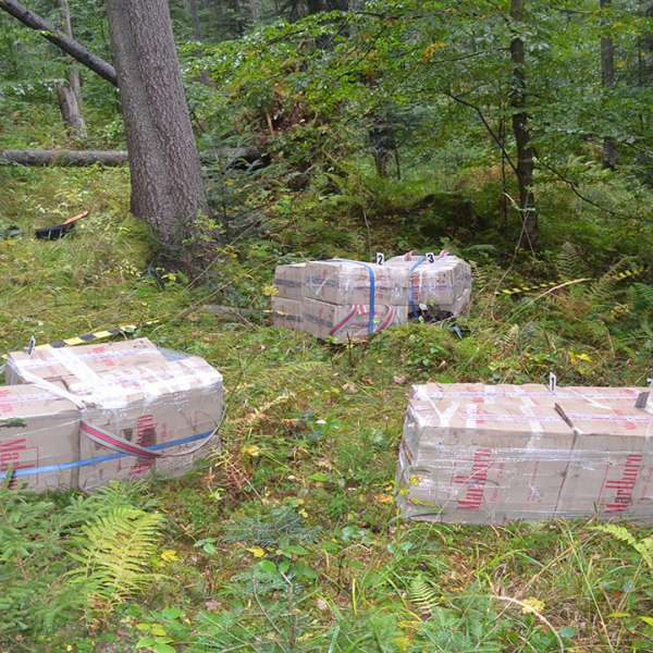 Doi bărbaţi cercetaţi şi peste 15.000 de pachete cu țigări confiscate la frontiera de nord