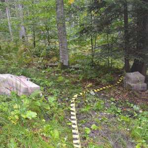 Doi bărbaţi cercetaţi  şi peste 15.000 de pachete cu țigări confiscate la frontiera de nord