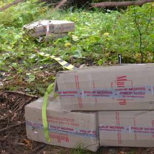 Doi bărbaţi cercetaţi  şi peste 15.000 de pachete cu țigări confiscate la frontiera de nord