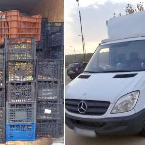 26 de cetăţeni străini, descoperiţi ascunşi într-o autoutilitară, la P.T.F. Giurgiu