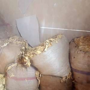 Percheziţii la contrabandiştii de tutun