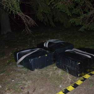 Un cetăţean român cercetat şi zeci de mii de pachete cu țigări confiscate