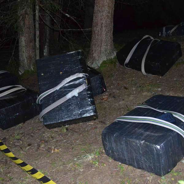 Un cetăţean român cercetat şi zeci de mii de pachete cu țigări confiscate